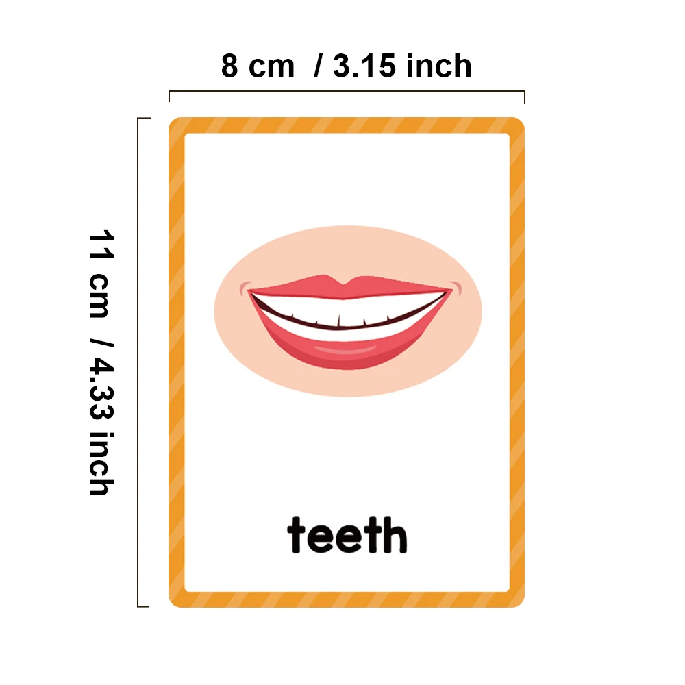 Body Parts Cognitive Flashcards Montessori Learn English Words Card Picture Memorise Educational Toys Gifts for Children