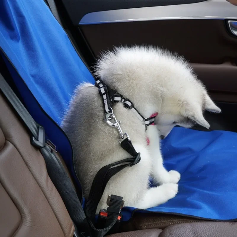 1 STÜCK Haustiermatte Auto-Arbeitskissen Auto hinten schmutziges Kissen Outdoor-Reiskissen Einteiliges Katzen- und Hundekissen