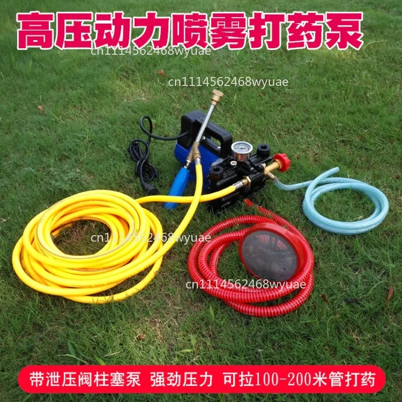 Agricultural Electric High Pressure Water Pump, Double Cylinder Piston Design 12V/24V/48V/60V/220V for Irrigation Spraying