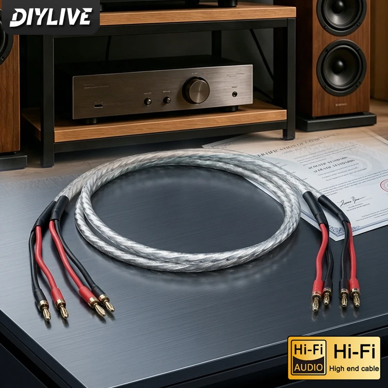 DIYLIVE A Pair of HIFI Silver-Plated Speaker Cables for Sound Systems High-End 7N OCC Speaker Cab0les
