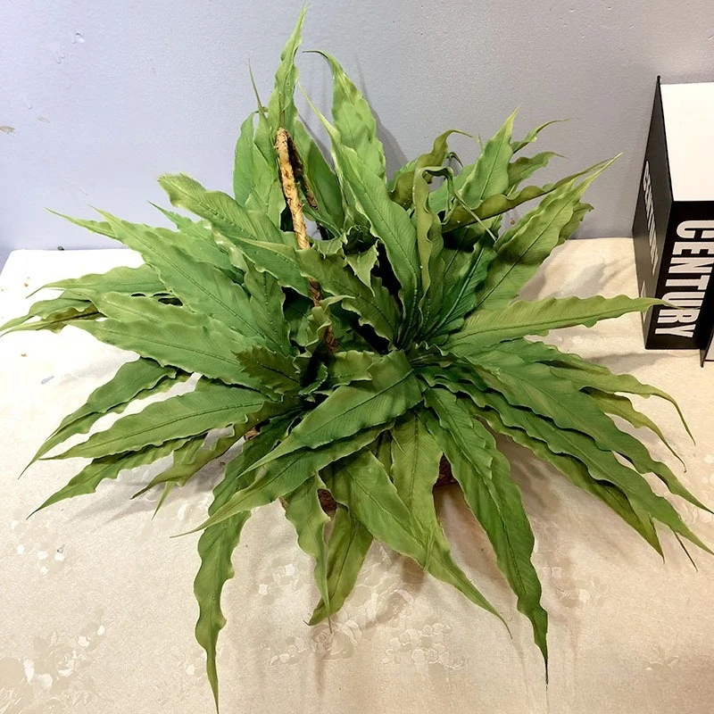 Plantes de fougère artificiell - Rubber Plant Ficus avis et prix