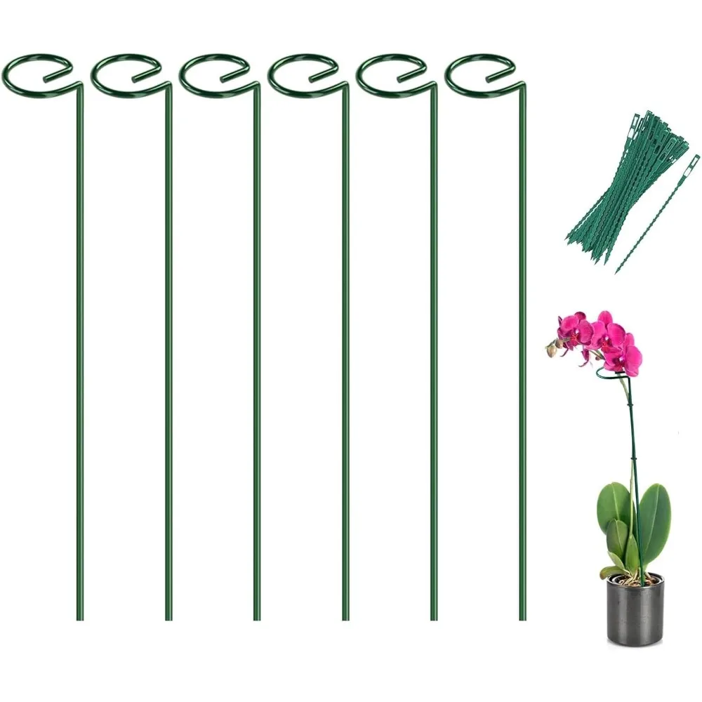 

Joyhalo, 6 пакетов и опор для растений, 16-дюймовые цветочные колья и опора для садовых уличных растений, фаленопсис, Paperwhites,