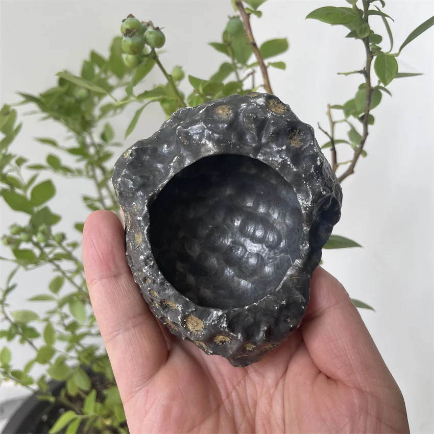 

Натуральная черная Коралловая пепельница украшение счастливая Бесплатная доставка