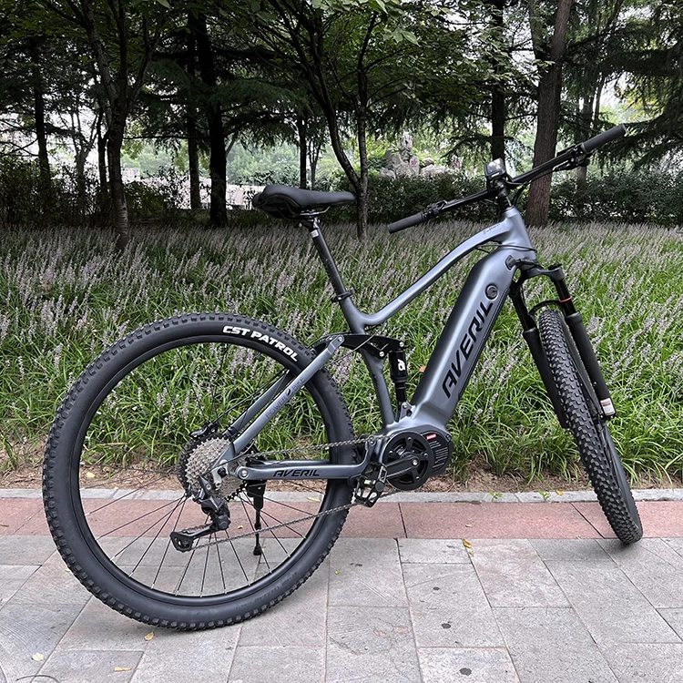 

26-дюймовый E Mtb 48 В 20 Ач горный электрический велосипед 350 Вт EBIKE городские электрические велосипеды для поездок на работу для взрослых
