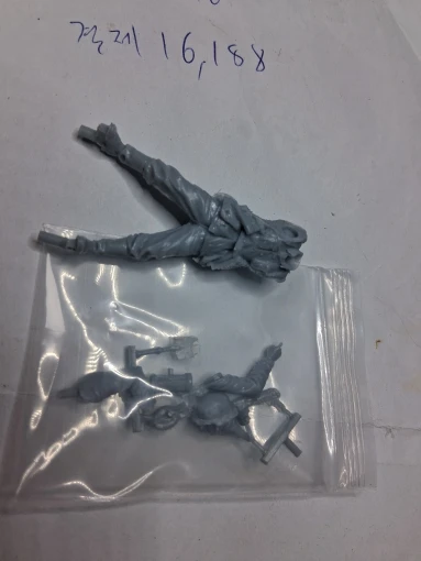 Buyer photo of this resin kit