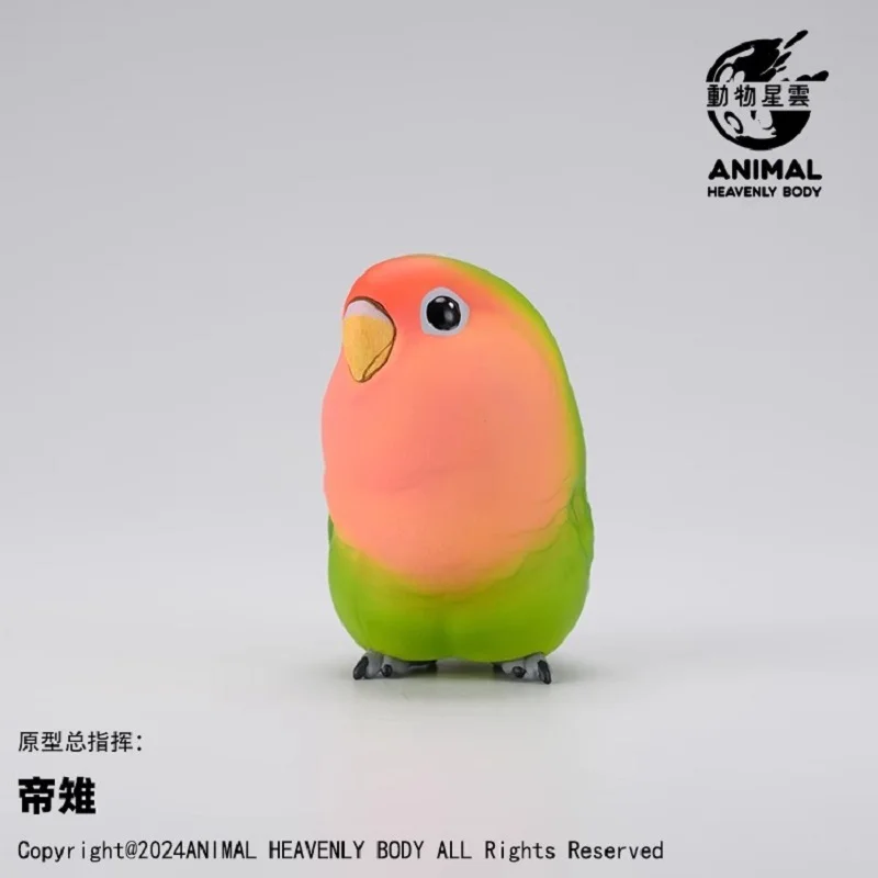 A Series of Laugh and Grow Fat Series Parrot Blind Box Animals Birds Crafts statue Cute Anime Figure Collectible Model Toys Gift