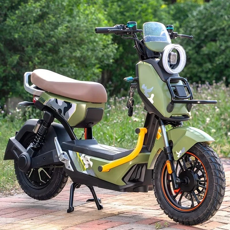 

SXLL New electric scooter 48V 3-speed carbon steel frame rear hub E motor electric bicycle lead-acid battery electric city bicyc