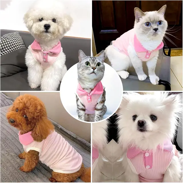 Small Dog T-shirt Bordeaux Collar Stretch Dog T-shirt Breathable Dog Cool Tank Top Sausage Dog French Bulldog Chihuahua Clothing 4