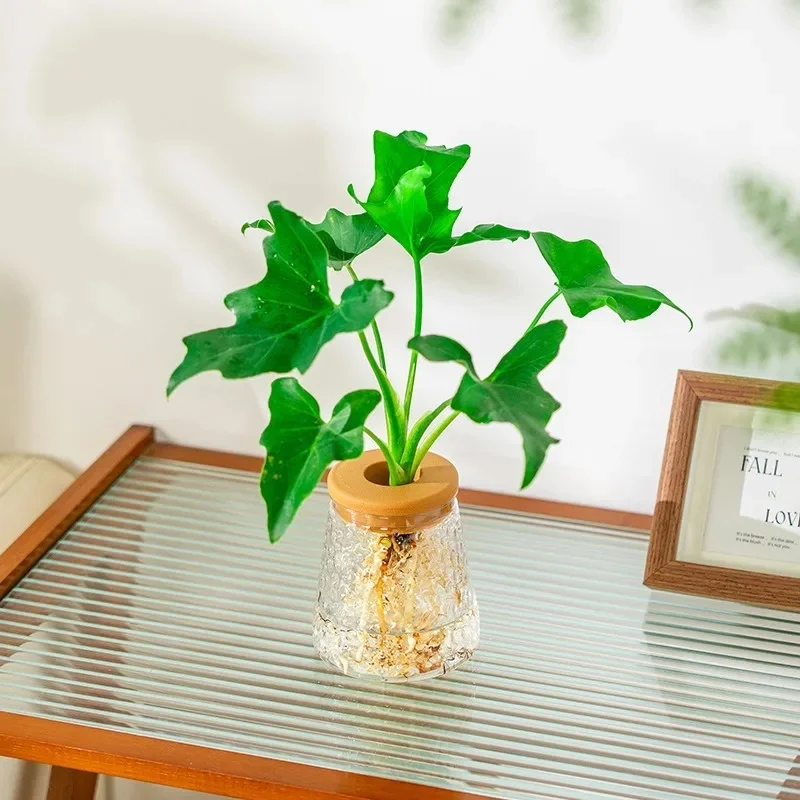 Plastic Hammered Hydroponic Vase with Hole Lid, Tapered Textured Plant Propagation Station, Desktop Water Plant Container Decor