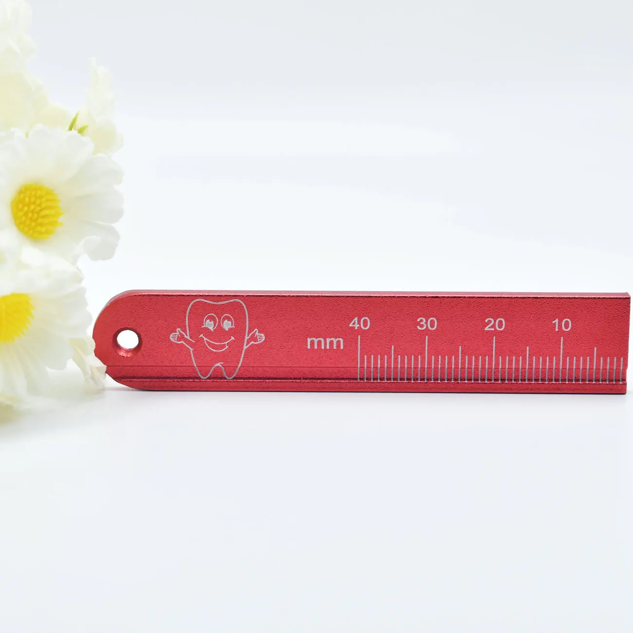 Dental Instrument Endo Ruler  Measuring For Endo Files Endondontic Root Canal Dentist Tool