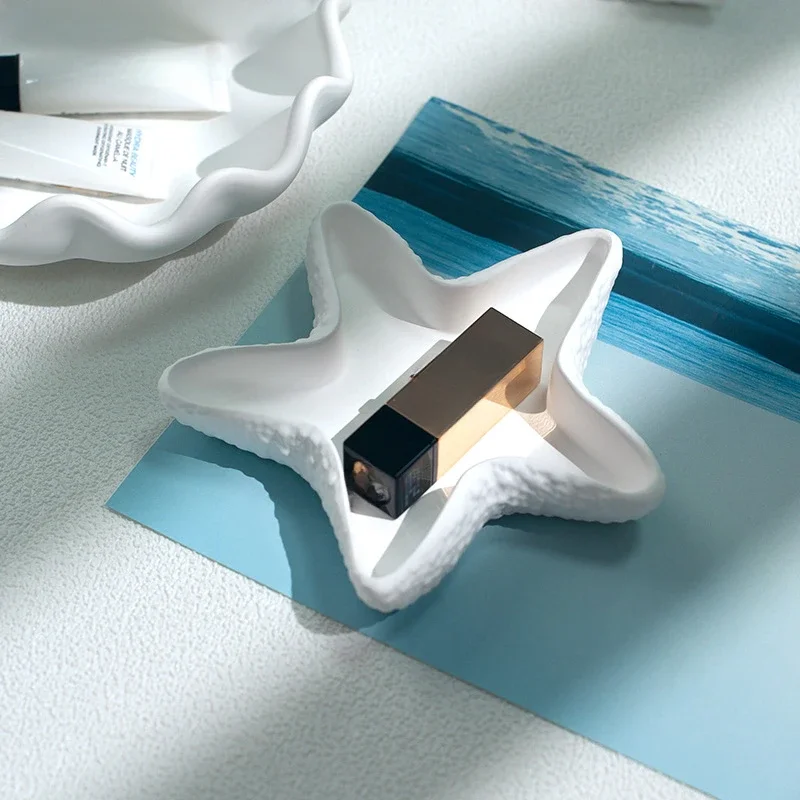 Conchas de estrellas de mar, conchas, modelos de yeso, fotos con adornos, adornos de almacenamiento para el hogar, accesorios, decoración de fondo