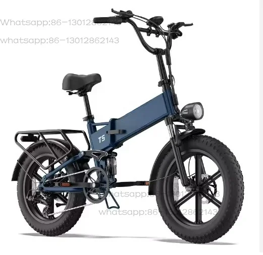 T5 48V 750W wide wheel electric bicycle, aluminum alloy frame, 32 km/h, 20 inch front and rear disc brakes