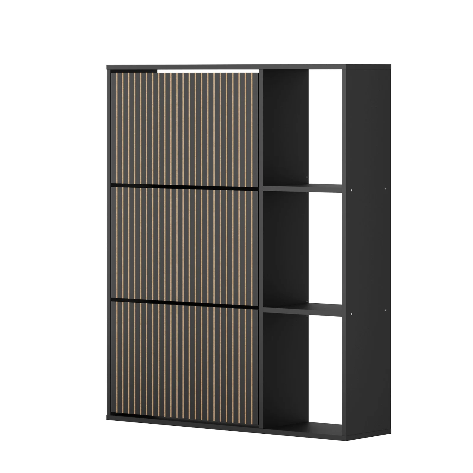 Impressive  Shoe Storage Cabinet Accommodated with Adjustable Shelving Within the 3-compartment, 2-tier Closed Storage