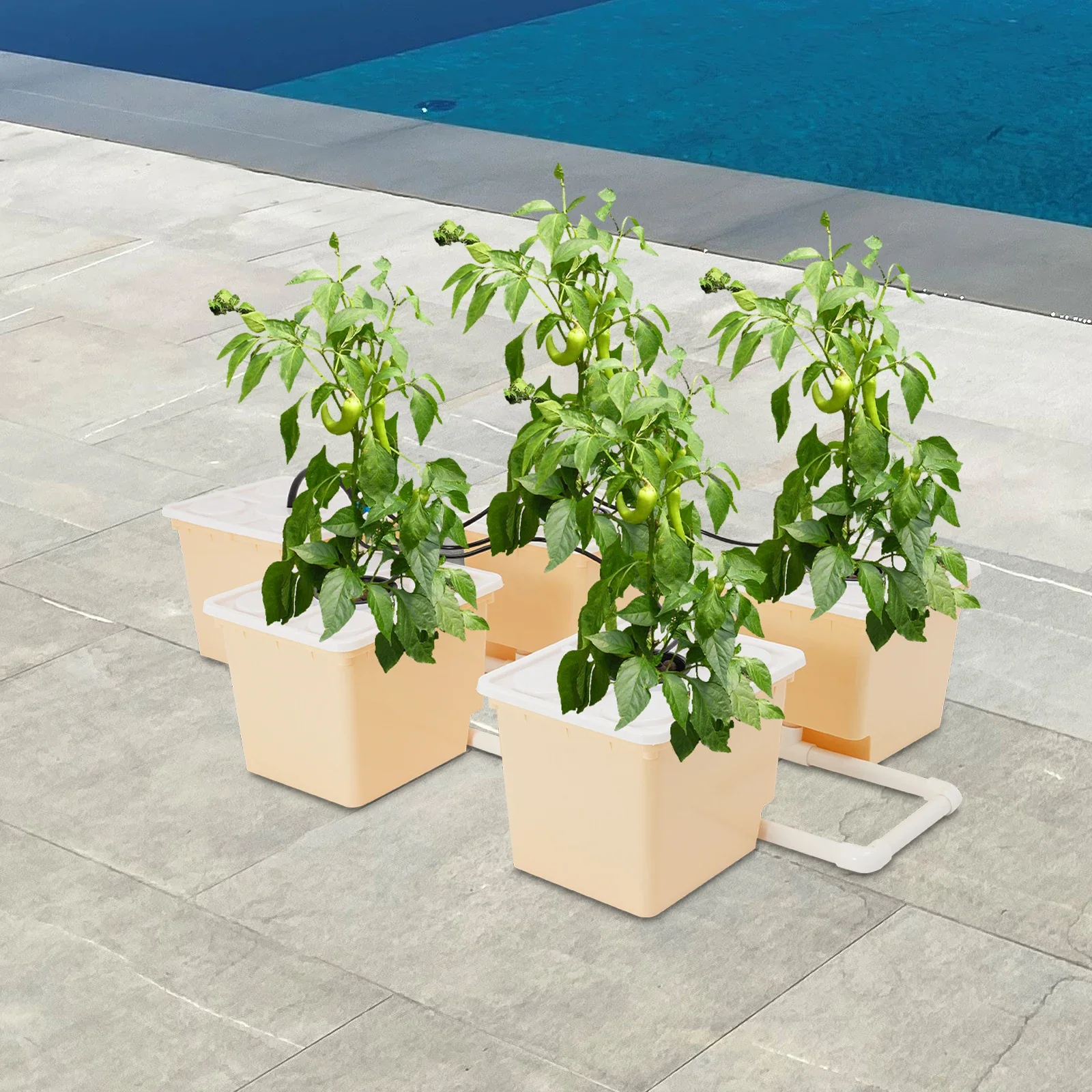 

Bymaocar 5-коробка, набор для выращивания гидропоники глубокой воды, 11 л, большое голландское ведро, система капельного выращивания для использования в помещении и на открытом воздухе с крышкой