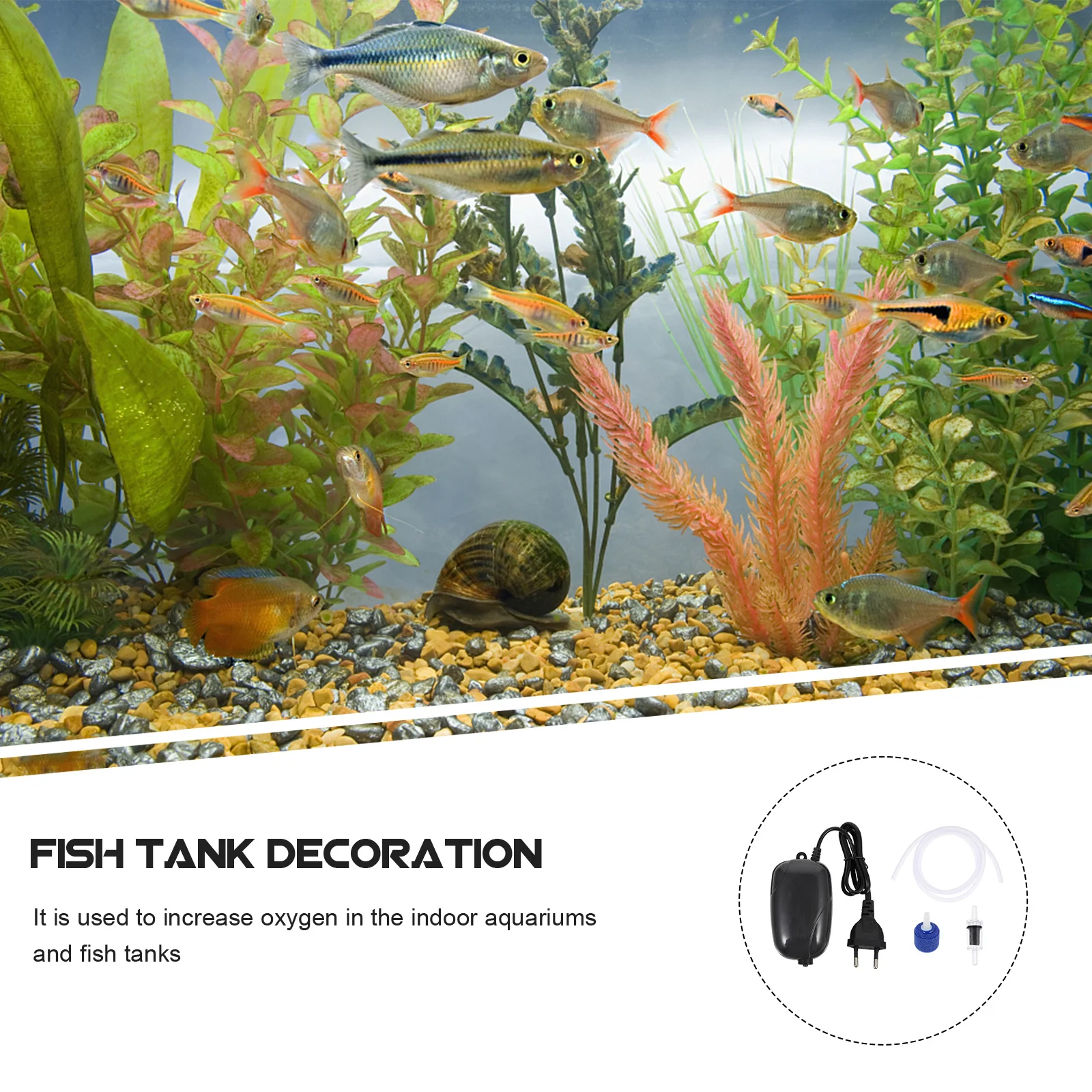 

1Set Fish Tank Oxygen Pump Aquarium Aerator Mini Air Pump High Efficiency for Fish Tanks Daily Use Stable Performance