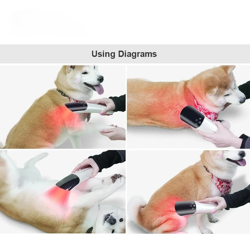 Handy Red Light Device For Horse Dog Cat Injury Recovery Relief Built-in Lithium Battery Disinfection Equipment