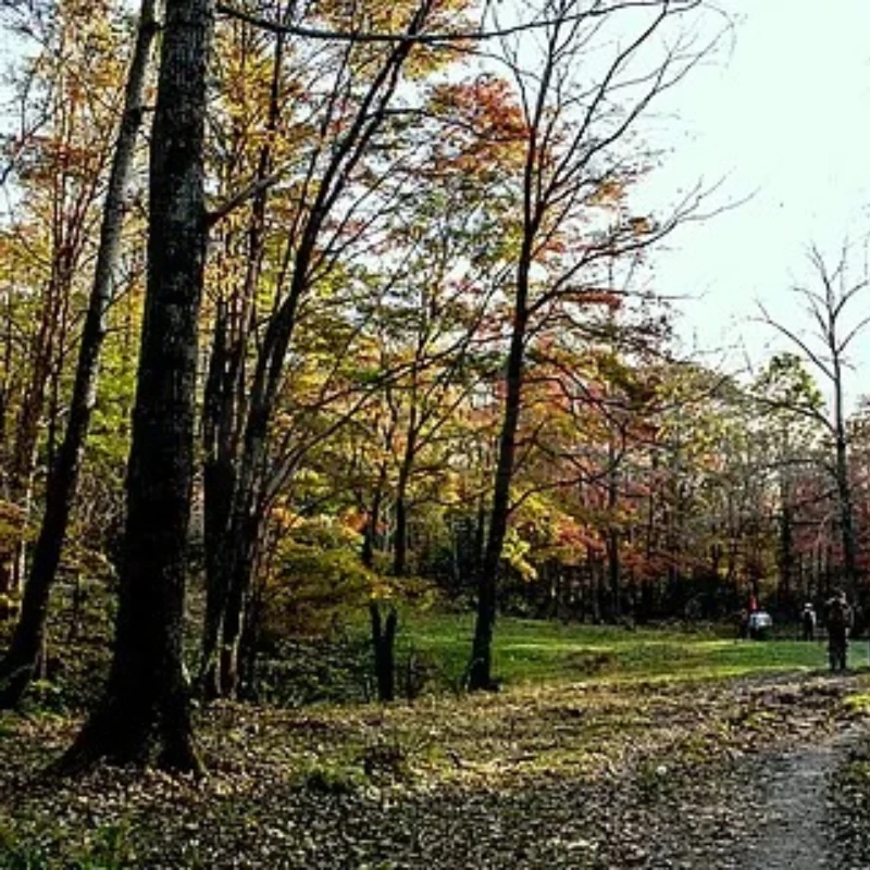 

iFlight iPower GBM2804H-100T Gimbal Бесщеточный двигатель для БПЛА / проигрыватель воздушно-десантных лидарных двигателей с встроенным магнитным кольцом