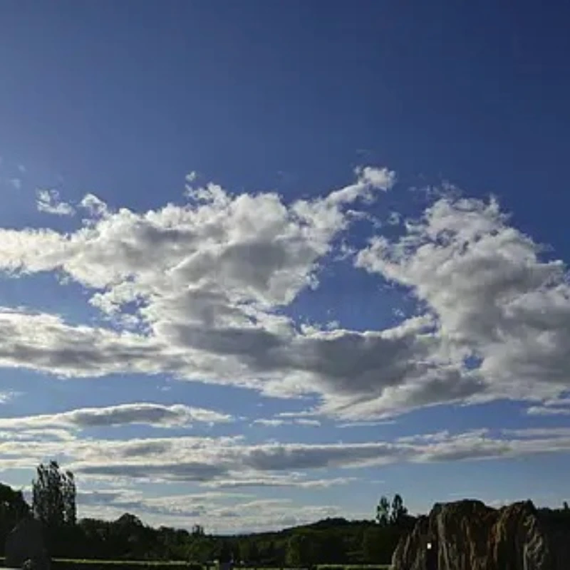 

GEPRC SPEEDX2 2809 V1.1 Двигатель Бесщеточный черный с 7/8 дюймов MOZ7 RC FPV Racing Drone Аксессуары для мультикоптеров