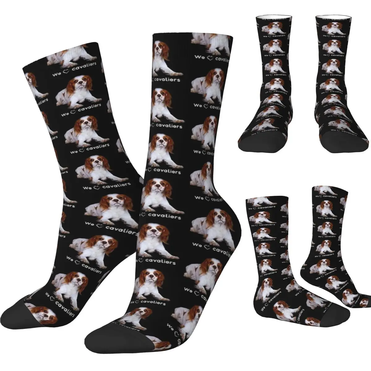 Cavalier King Charles Spaniel Looking Up Socks Kawaii Pet Leisure Stockings Spring Anti Bacterial Men Socks Outdoor Sports Socks