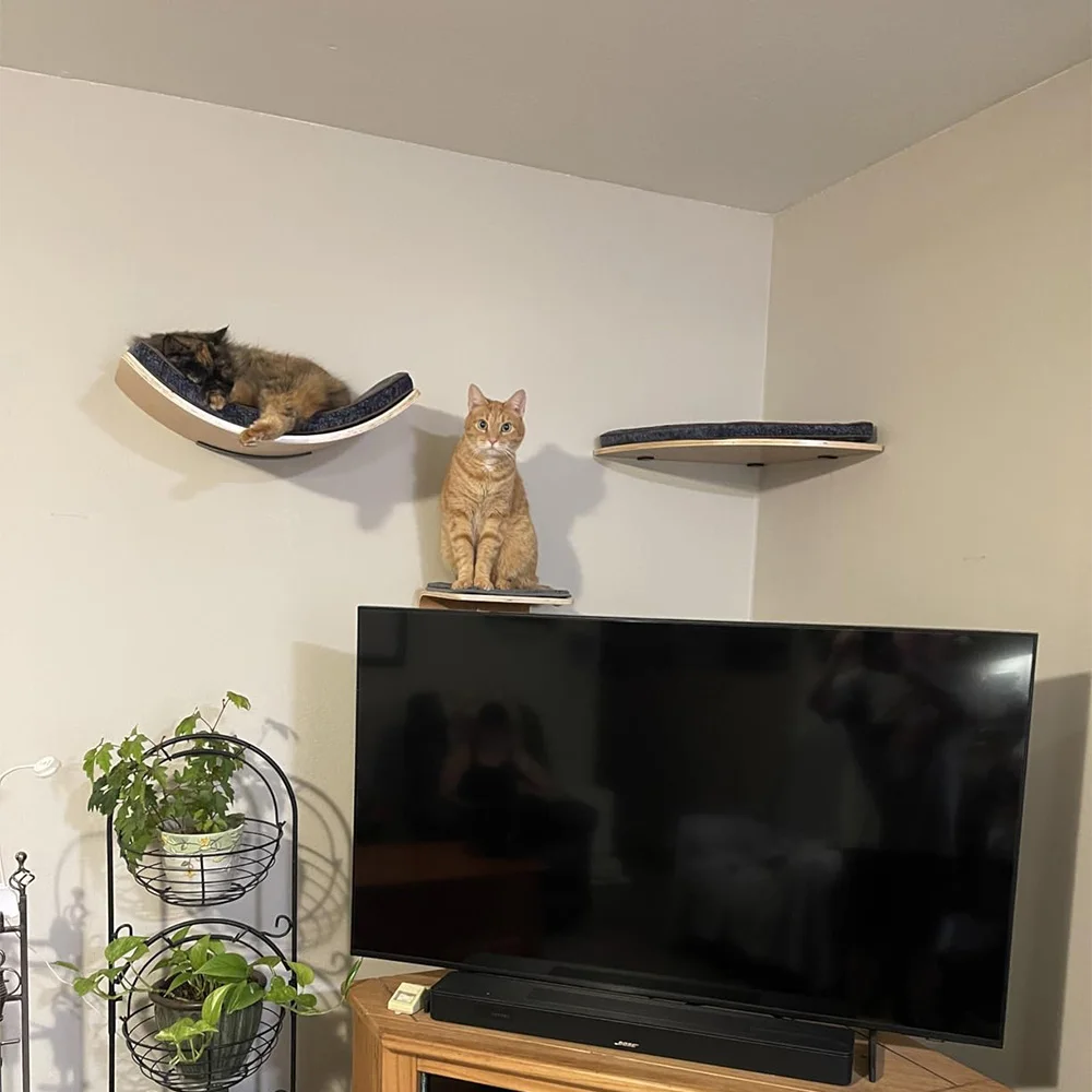 Rascador para gatos con plataforma salto, puente paso y cama acogedora - imagen 2