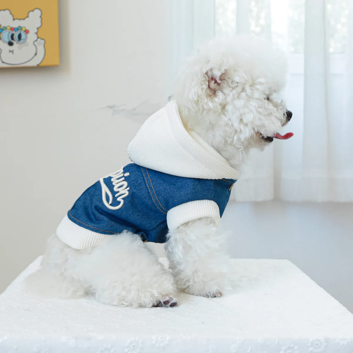 1PC Pet Clothing Spring and Autumn Handsome Champion Cowboy Hat Coat Suitable for Small and Medium sized Dogs