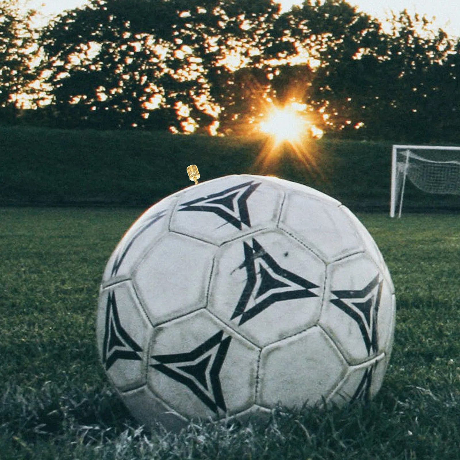 

50Pcs Football Inflator Needle Strong Stainless Steel Ball Needles for Air Pump Bike Pump Gauges Inflation Tools