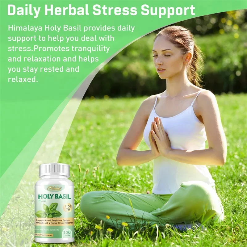 Holy Basil - Supports Respiratory Health, Boosts Immunity, Non-GMO