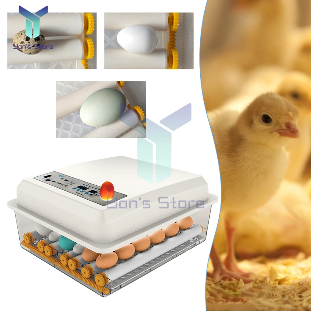 36 Small Household Eggs Incubators Brooder Fully Automatic Intelligent Chicken Duck Goose Pigeon egg incubator Poultry Farming