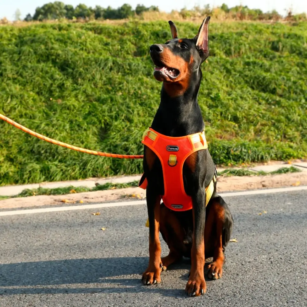 Adjustable Vest Type Dog Harness Lightweight Durable Dog Chest Strap Breathable Reflective No-Pull Chest Strap Training Use