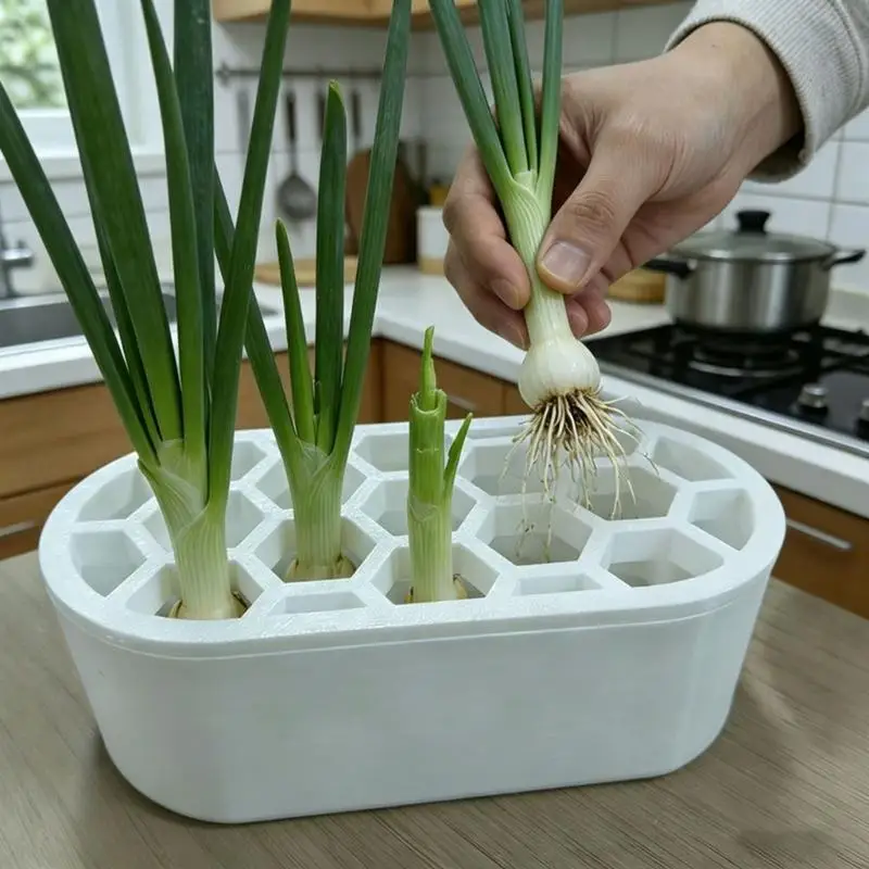 652F White Herb Start Box for Green Onion and Garlic, Indoor Water Garden Tray for Kitchen, Office or Dorm Counter Growing, 2