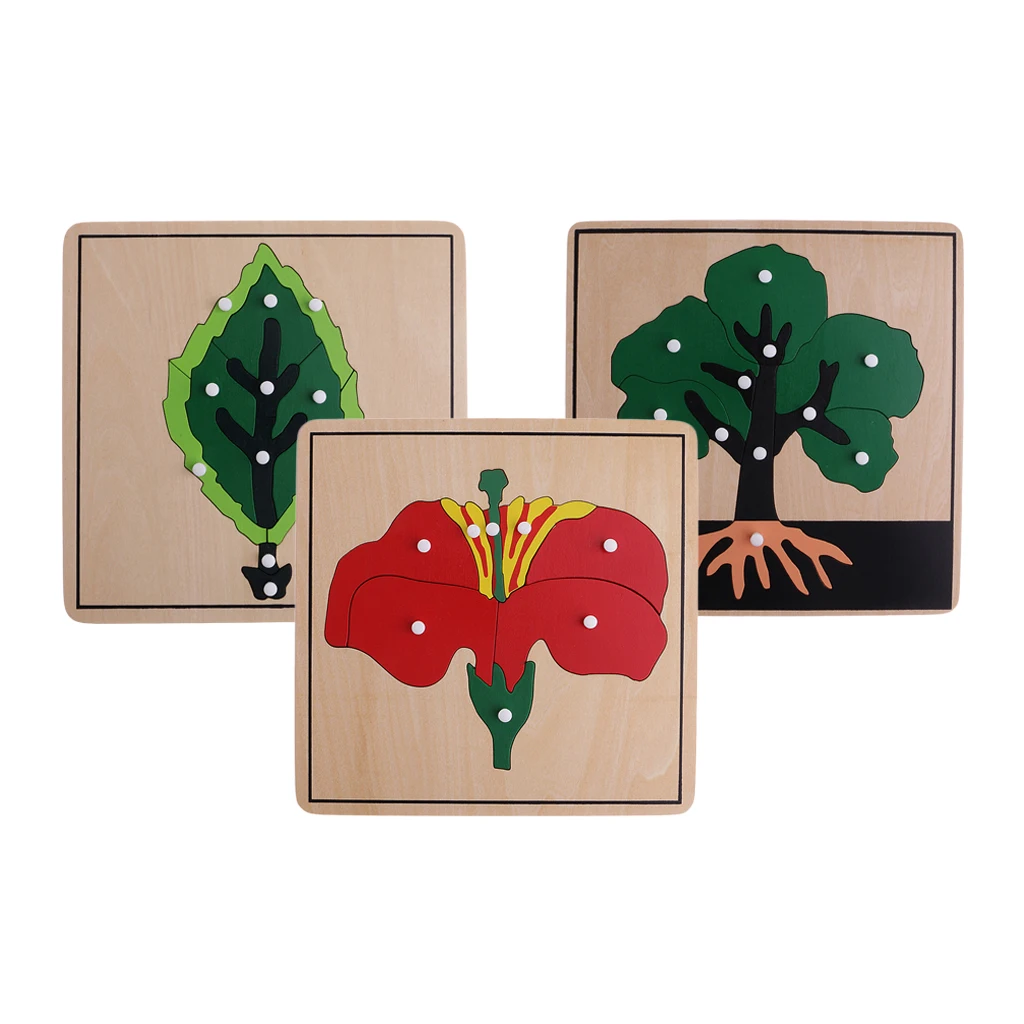 

Montessori Materials 3 Botany Puzzles&Cabinet for Early Childhood Education