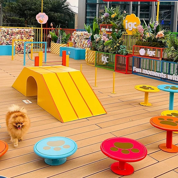 

Durable Colorful Innovative Safe Easy-to-Clean Dog Agility Playground Pet Training Equipment For Pet Fun Social Interaction