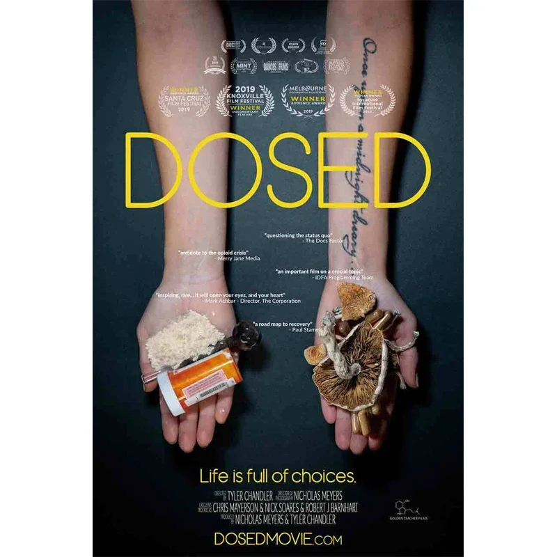 D0511 Dosed Movie Silk Fabric Poster Art Decor Indoor Painting Gift