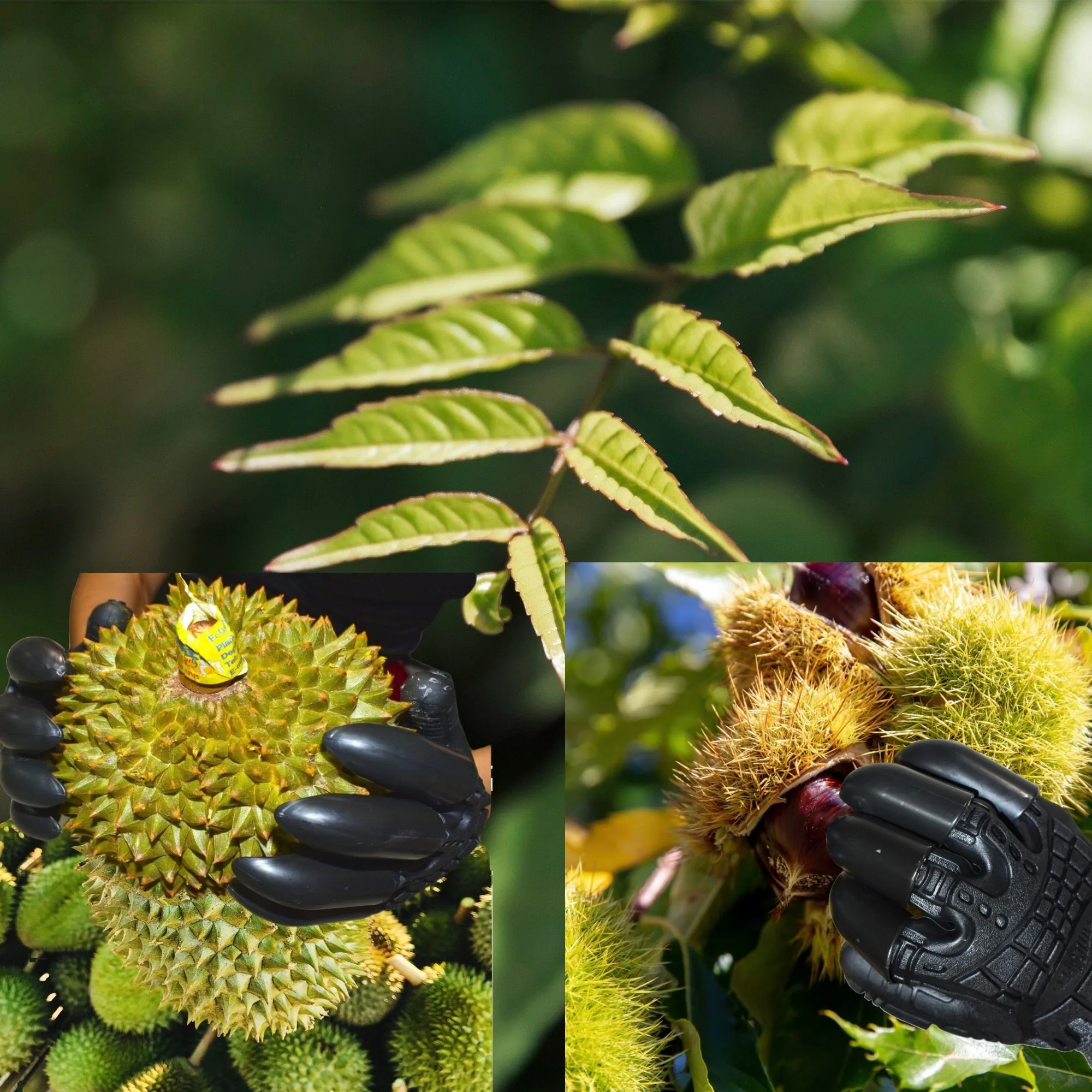 Heavy-duty Earthquake Relief Equipment Earthquake Rescue Tools Disaster Relief Tools Hand Protective Digging Gloves