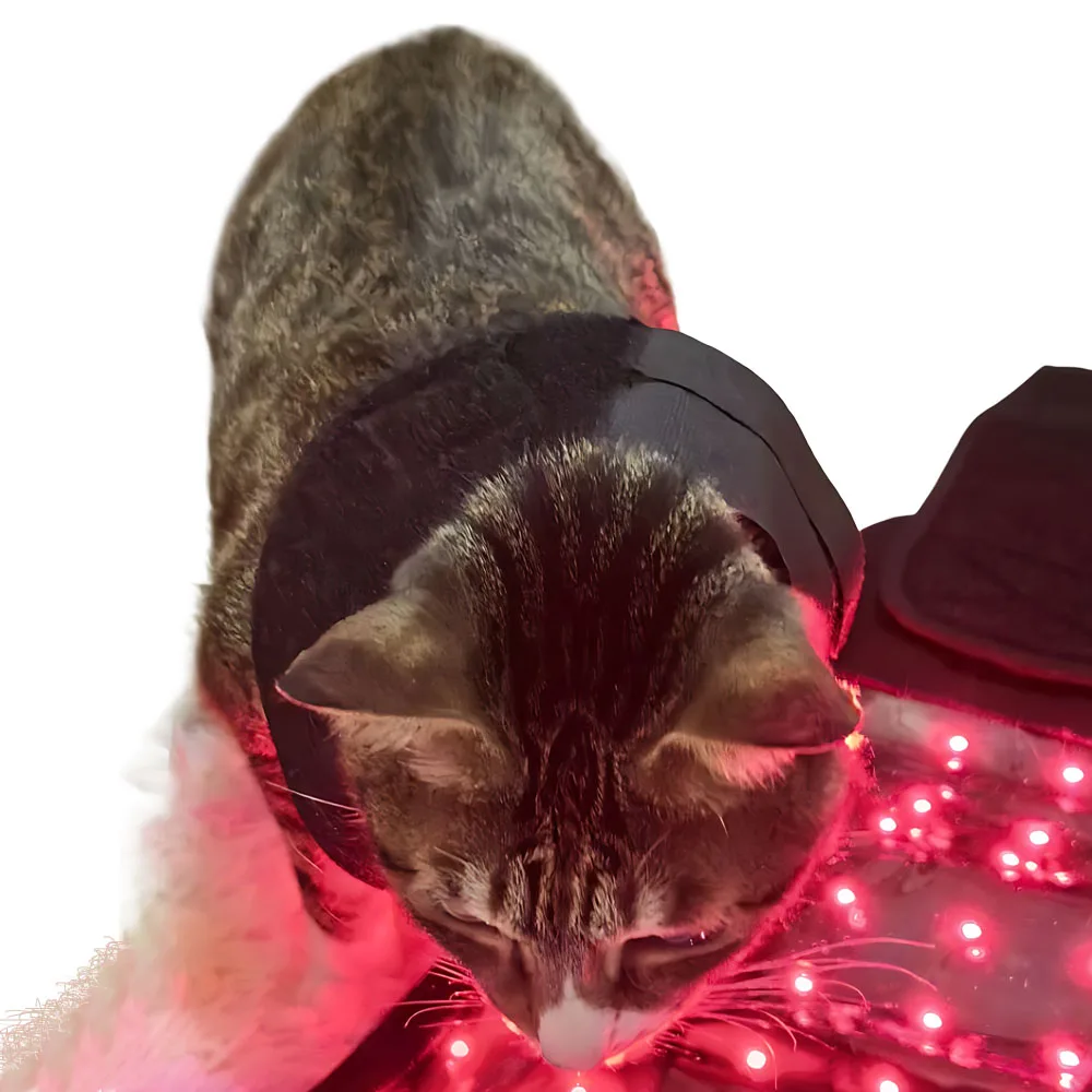 

Dog Photo Therapy Device Red Light Therapy Pad for Dog Infrared Light for Cat Photon Therapy Wrap
