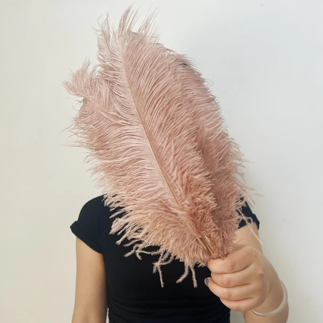 

100 Pcs Natural Ostrich feathers Multicolor Ostrich Feather Table Centerpiece Decoration for Wedding Decoration plume support