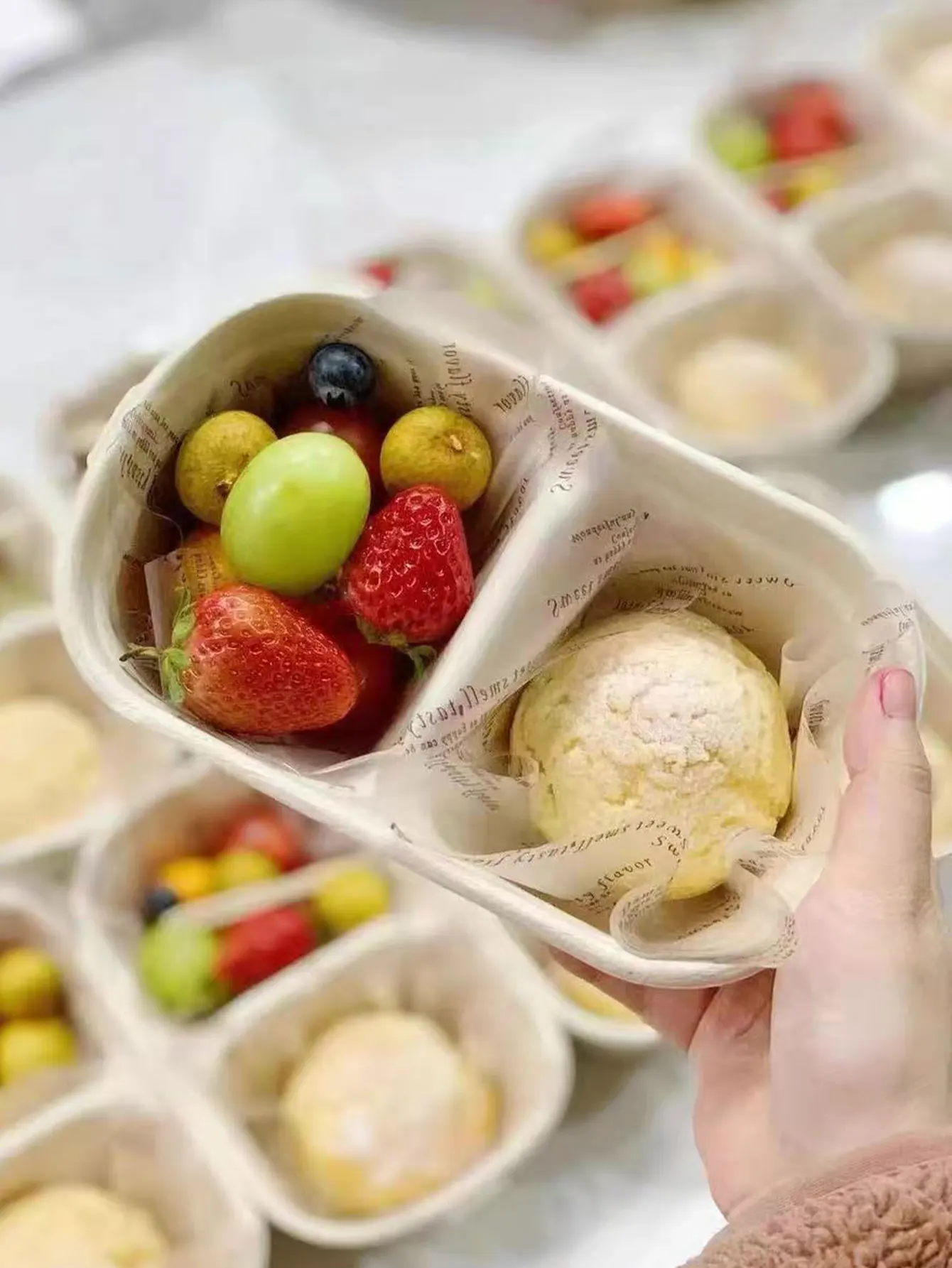 Disposable Fruit Packaging Box, 2-Compartment Fruit Cutting Box, Biodegradable Pulp Lunch Box, Spring Outing Cake Box with Lid