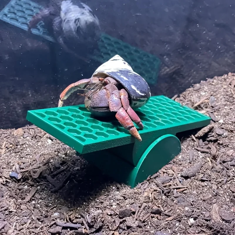 Hermit crab seesaw, hermit crab climbing seesaw, hermit crab ornament, hermit crab toy, hermit crab tank decoration