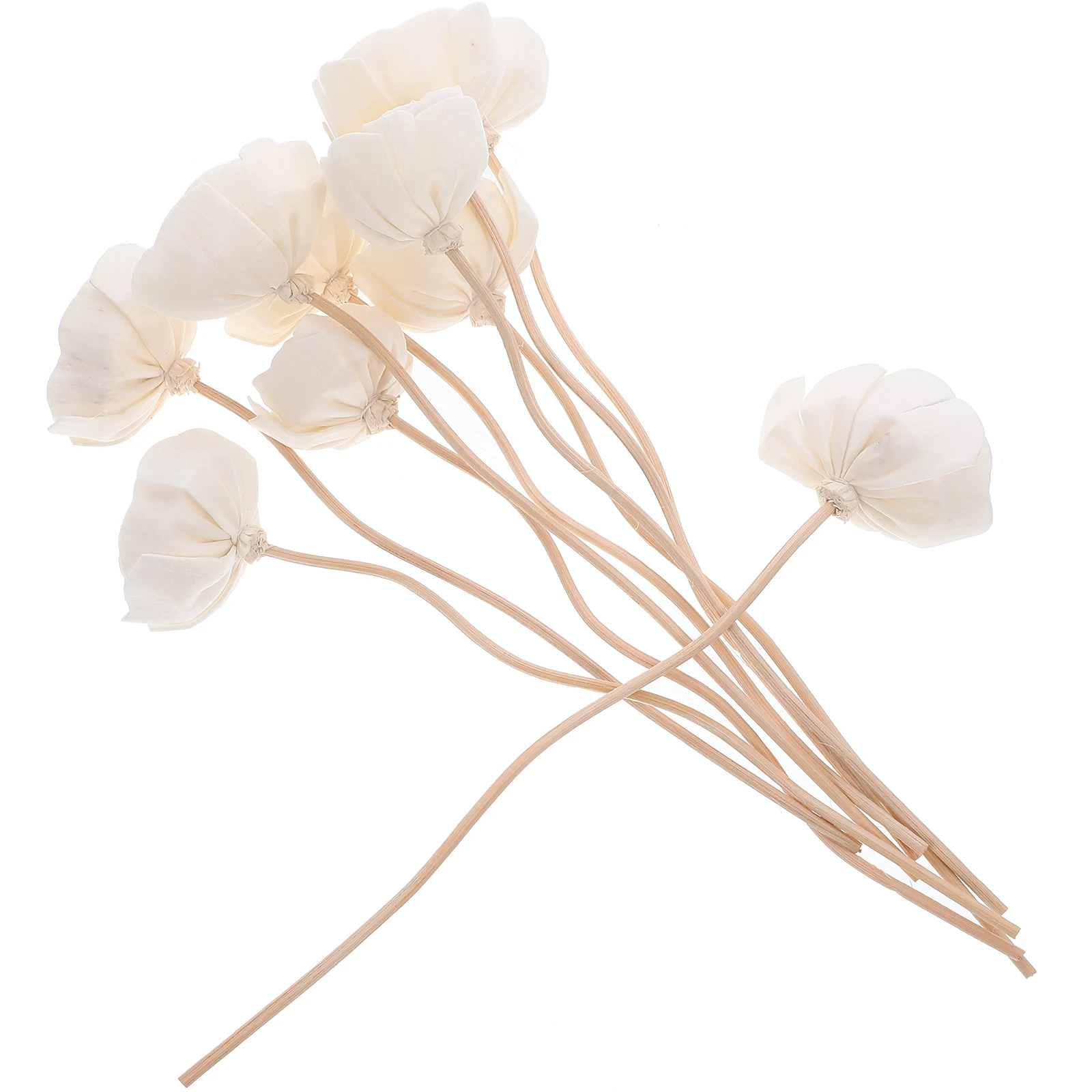 

10Pcs Fragrance Diffuser Sticks Set Dried Flower Scented Oil Diffuser Sticks for Room Home Living Room Kitchen Aroma Bottle