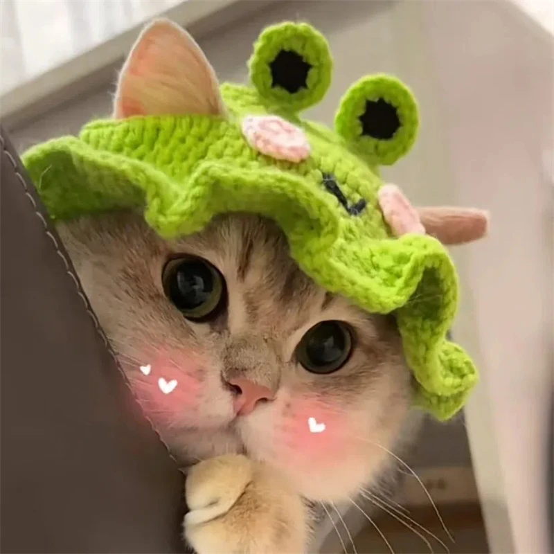 

Winter Cat Hat Elastic Cute Refined Pet Hat Kittens Knitted Hat Party Photo Shoot Props Decoration Cat Accessories Pet Products