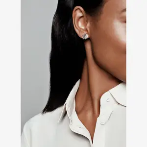 Wave Wanderers for Women, 925 Silberchark, Fit Original Pandora, Geschenk von Jewel DIY, Warm Sale, neu, 2024 10 Hauptverkäufe Pandora Ohrring - №5