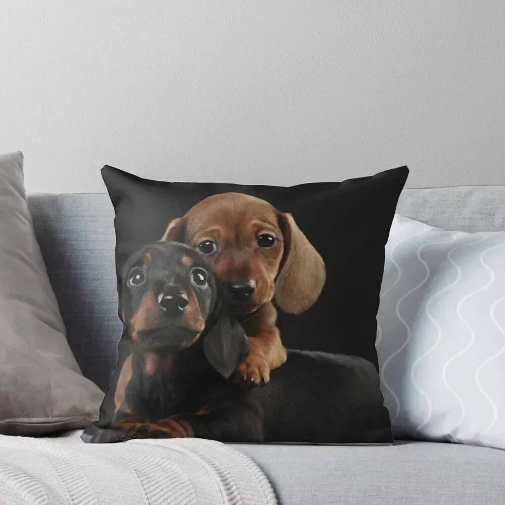 Dachshund Dog portrait photo pupies Throw Pillow Pillow Case Christmas Pillow Cover Christmas