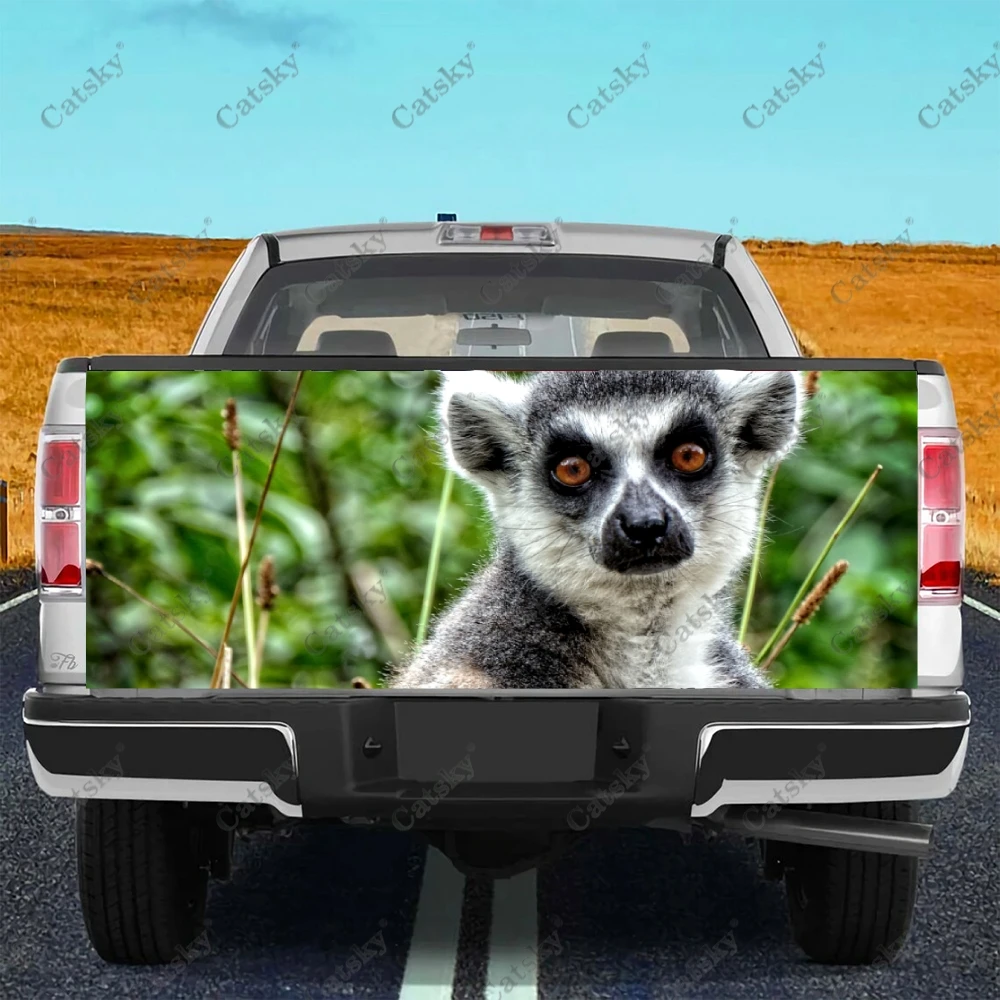 

Автомобильные наклейки с животными Lemur catta, украшение для заднего вида грузовика, живопись, наклейки для модификации автомобиля, автомобильные аксессуары, фотообои