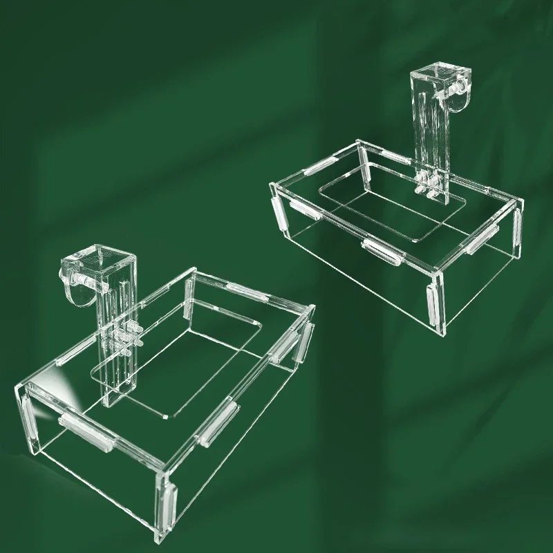 물고기 먹이 트레이 및 표류 방지 부유 고리, 아크릴 고정 점 물고기 먹이 공급기 – 수조용 수생 액세서리