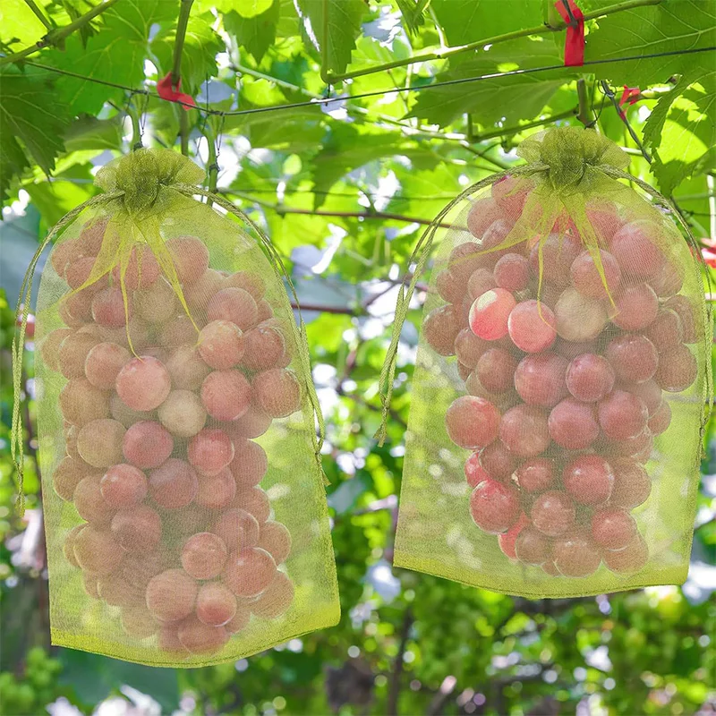 100 قطعة من أكياس شبكية من فواكه الأورجانزا قابلة للتنفس باللون الأخضر العسكري للمانجو والزهور والموز تحمي النباتات من الضرر