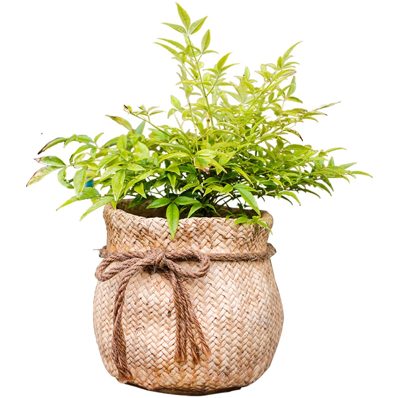 Huohan cement pocket flower device decorative flower potted plant ornament succulent art outdoor villa courtyard garden