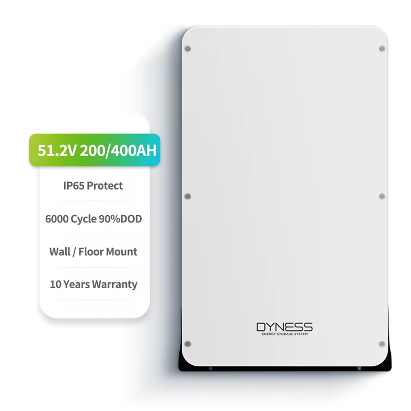 TLF Dyness Powerbox Pro montaje en pared batería de litio Lifepo4 para el hogar 200ah 51.2v Powerwall 10kwh batería de almacenamiento de energía
