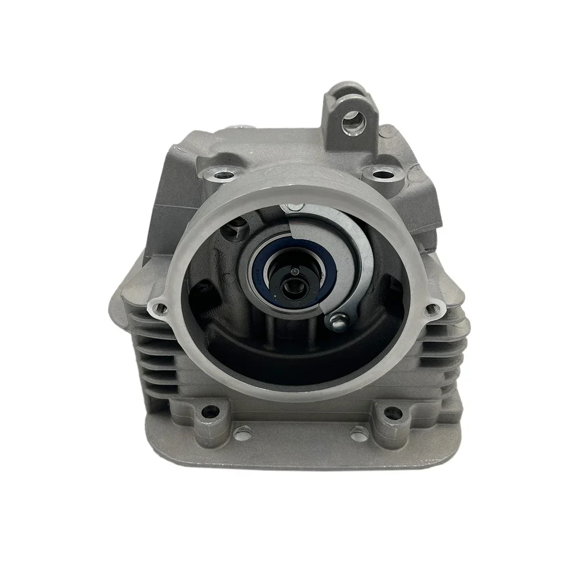 Cylinder Head Assy Cylinder cap unit for Jianshe Roketa Baja 250cc 250 JS250 ATV Quad FG-111000-0