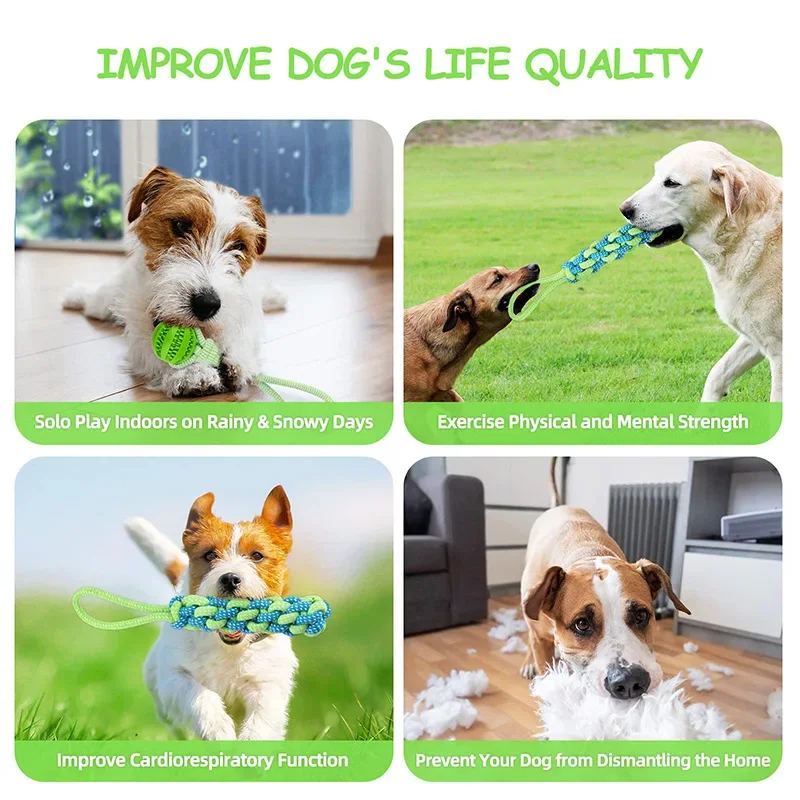 Dog Ball Toy with Rope Interactive Leaking Balls for Small Large Dogs Bite Resistant Chew Toys Puppy Training Pet Accessories