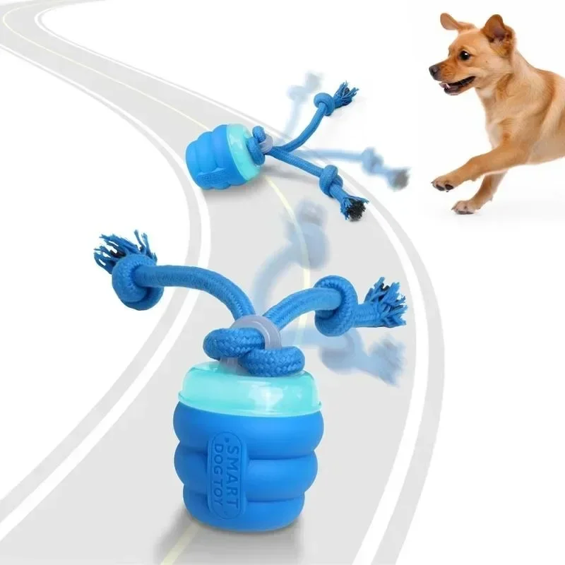 Interactive Dog Toys with Motion Activated, Squeaky Dog Toy Active Rolling Ball for Daily Training